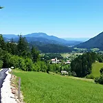 Petek