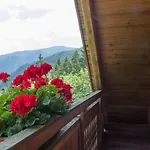 Apartman Petek *