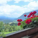 Apartman Petek