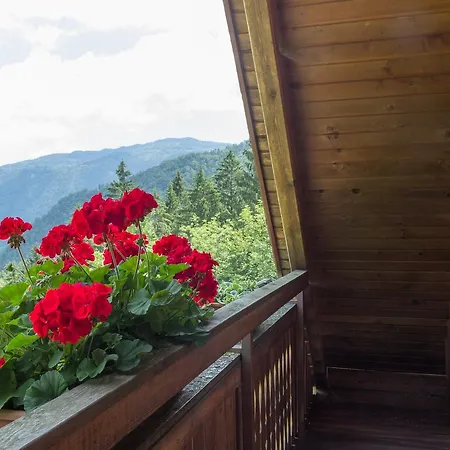 Appartamento Petek *