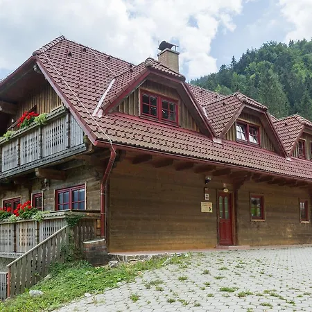 Petek Διαμέρισμα *