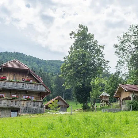 Petek Appartamento Gornji Grad