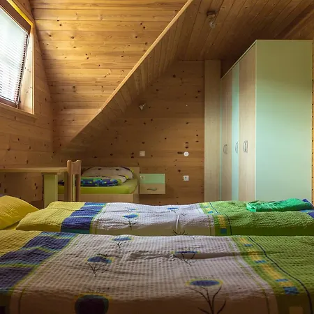 Petek Appartamento Gornji Grad